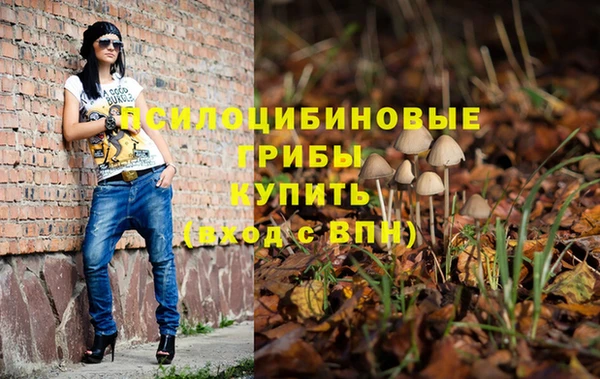 Альфа ПВП Рославль